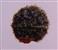  Seed